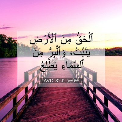 Picture 07 - اَلْمَزَامِيرُ 85:11 AVD - ٱلْحَقُّ مِنَ ٱلْأَرْضِ - Bible Verse Picture