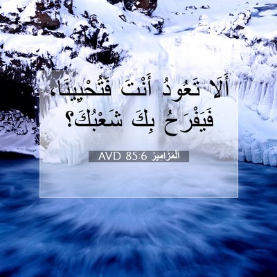 Picture 07 - اَلْمَزَامِيرُ 85:6 AVD - أَلَا تَعُودُ أَنْتَ - Bible Verse Picture