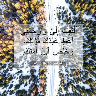 Picture 07 - اَلْمَزَامِيرُ 86:16 AVD - ٱلْتَفِتْ إِلَيَّ - Bible Verse Picture