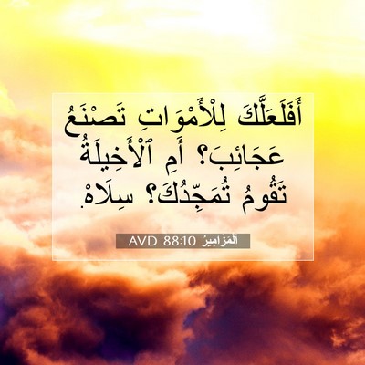 Picture 07 - اَلْمَزَامِيرُ 88:10 AVD - أَفَلَعَلَّكَ - Bible Verse Picture