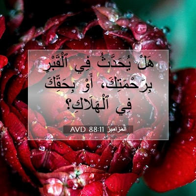 Picture 07 - اَلْمَزَامِيرُ 88:11 AVD - هَلْ يُحَدَّثُ فِي - Bible Verse Picture