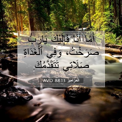 Picture 07 - اَلْمَزَامِيرُ 88:13 AVD - أَمَّا أَنَا فَإِلَيْكَ - Bible Verse Picture