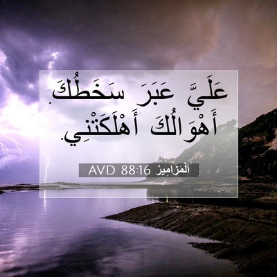 Picture 07 - اَلْمَزَامِيرُ 88:16 AVD - عَلَيَّ عَبَرَ سَخَطُكَ. - Bible Verse Picture
