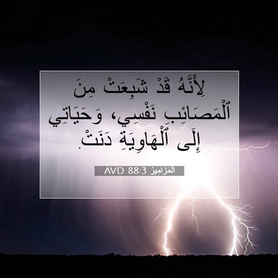 Picture 07 - اَلْمَزَامِيرُ 88:3 AVD - لِأَنَّهُ قَدْ شَبِعَتْ - Bible Verse Picture