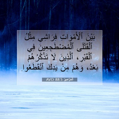 Picture 07 - اَلْمَزَامِيرُ 88:5 AVD - بَيْنَ ٱلْأَمْوَاتِ - Bible Verse Picture