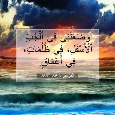 Picture 07 - اَلْمَزَامِيرُ 88:6 AVD - وَضَعْتَنِي فِي ٱلْجُبِّ - Bible Verse Picture