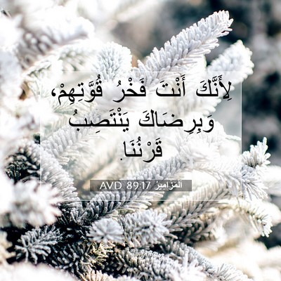 Picture 07 - اَلْمَزَامِيرُ 89:17 AVD - لِأَنَّكَ أَنْتَ فَخْرُ - Bible Verse Picture