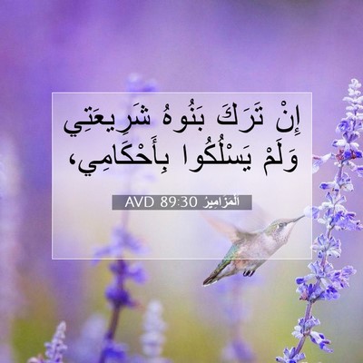 Picture 07 - اَلْمَزَامِيرُ 89:30 AVD - إِنْ تَرَكَ بَنُوهُ - Bible Verse Picture