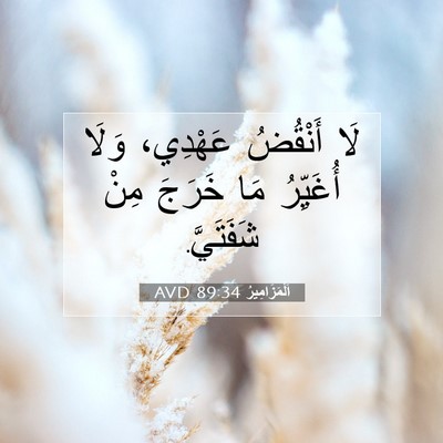 Picture 07 - اَلْمَزَامِيرُ 89:34 AVD - لَا أَنْقُضُ عَهْدِي، - Bible Verse Picture