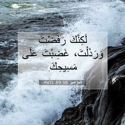 Picture 07 - اَلْمَزَامِيرُ 89:38 AVD - لَكِنَّكَ رَفَضْتَ - Bible Verse Picture