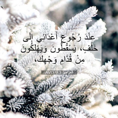 Picture 07 - اَلْمَزَامِيرُ 9:3 AVD - عِنْدَ رُجُوعِ أَعْدَائِي - Bible Verse Picture