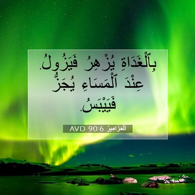 Picture 07 - اَلْمَزَامِيرُ 90:6 AVD - بِٱلْغَدَاةِ يُزْهِرُ - Bible Verse Picture
