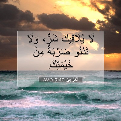 Picture 07 - اَلْمَزَامِيرُ 91:10 AVD - لَا يُلَاقِيكَ شَرٌّ، - Bible Verse Picture