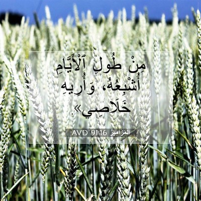 Picture 07 - اَلْمَزَامِيرُ 91:16 AVD - مِنْ طُولِ ٱلْأَيَّامِ - Bible Verse Picture