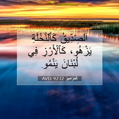 Picture 07 - اَلْمَزَامِيرُ 92:12 AVD - اَلصِّدِّيقُ - Bible Verse Picture