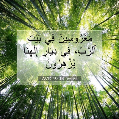Picture 07 - اَلْمَزَامِيرُ 92:13 AVD - مَغْرُوسِينَ فِي بَيْتِ - Bible Verse Picture