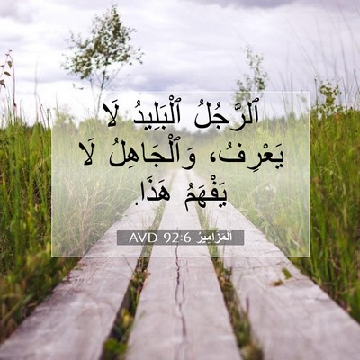 Picture 07 - اَلْمَزَامِيرُ 92:6 AVD - ٱلرَّجُلُ ٱلْبَلِيدُ لَا - Bible Verse Picture