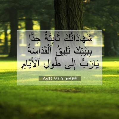 Picture 07 - اَلْمَزَامِيرُ 93:5 AVD - شَهَادَاتُكَ ثَابِتَةٌ - Bible Verse Picture