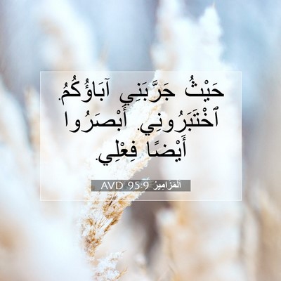 Picture 07 - اَلْمَزَامِيرُ 95:9 AVD - حَيْثُ جَرَّبَنِي - Bible Verse Picture