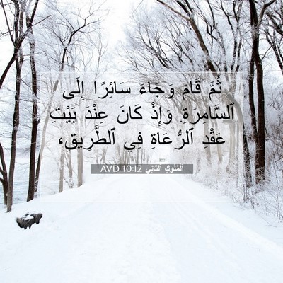 Picture 07 - اَلْمُلُوكِ ٱلثَّانِي 10:12 AVD - ثُمَّ قَامَ وَجَاءَ - Bible Verse Picture