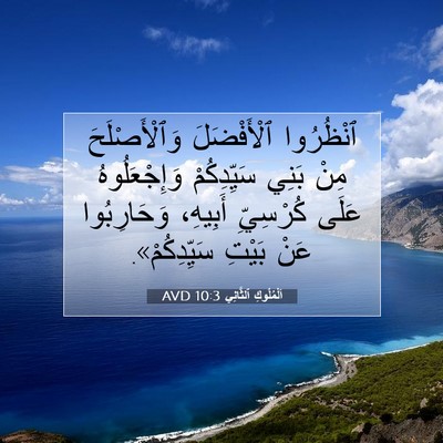 Picture 07 - اَلْمُلُوكِ ٱلثَّانِي 10:3 AVD - ٱنْظُرُوا ٱلْأَفْضَلَ - Bible Verse Picture