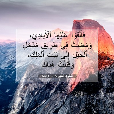 Picture 07 - اَلْمُلُوكِ ٱلثَّانِي 11:16 AVD - فَأَلْقَوْا عَلَيْهَا - Bible Verse Picture
