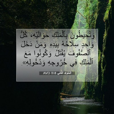 Picture 07 - اَلْمُلُوكِ ٱلثَّانِي 11:8 AVD - وَتُحِيطُونَ بِٱلْمَلِكِ - Bible Verse Picture