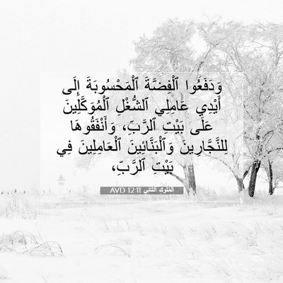 Picture 07 - اَلْمُلُوكِ ٱلثَّانِي 12:11 AVD - وَدَفَعُوا ٱلْفِضَّةَ - Bible Verse Picture