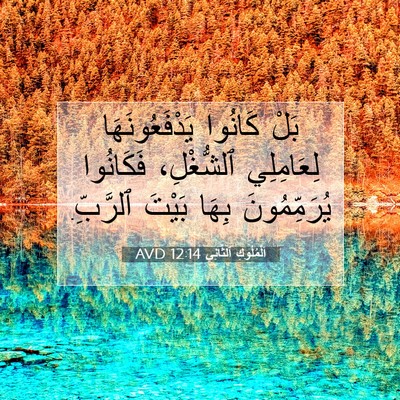 Picture 07 - اَلْمُلُوكِ ٱلثَّانِي 12:14 AVD - بَلْ كَانُوا - Bible Verse Picture