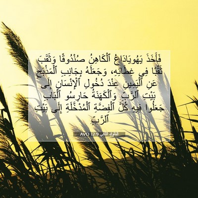 Picture 07 - اَلْمُلُوكِ ٱلثَّانِي 12:9 AVD - فَأَخَذَ يَهُويَادَاعُ - Bible Verse Picture