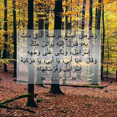 Picture 07 - اَلْمُلُوكِ ٱلثَّانِي 13:14 AVD - وَمَرِضَ أَلِيشَعُ - Bible Verse Picture