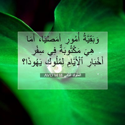 Picture 07 - اَلْمُلُوكِ ٱلثَّانِي 14:18 AVD - وَبَقِيَّةُ أُمُورِ - Bible Verse Picture