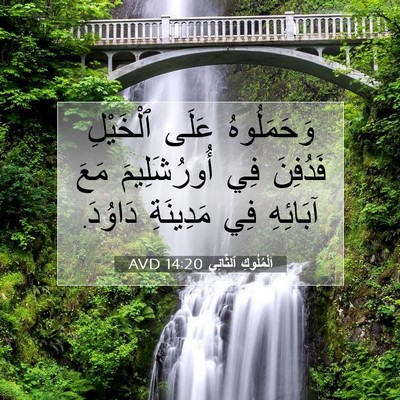 Picture 07 - اَلْمُلُوكِ ٱلثَّانِي 14:20 AVD - وَحَمَلُوهُ عَلَى - Bible Verse Picture