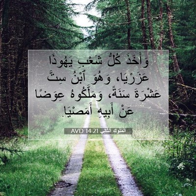 Picture 07 - اَلْمُلُوكِ ٱلثَّانِي 14:21 AVD - وَأَخَذَ كُلُّ شَعْبِ - Bible Verse Picture