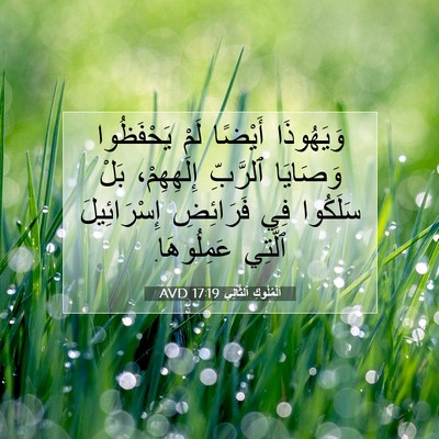Picture 07 - اَلْمُلُوكِ ٱلثَّانِي 17:19 AVD - وَيَهُوذَا أَيْضًا لَمْ - Bible Verse Picture