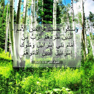 Picture 07 - اَلْمُلُوكِ ٱلثَّانِي 17:8 AVD - وَسَلَكُوا حَسَبَ - Bible Verse Picture