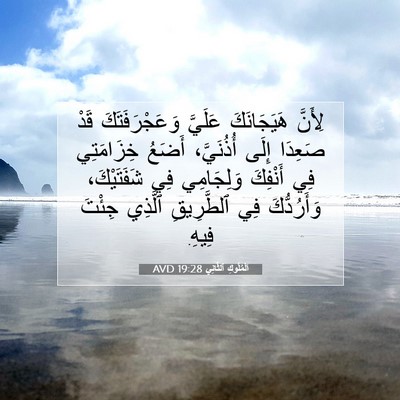 Picture 07 - اَلْمُلُوكِ ٱلثَّانِي 19:28 AVD - لِأَنَّ هَيَجَانَكَ - Bible Verse Picture