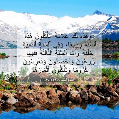 Picture 07 - اَلْمُلُوكِ ٱلثَّانِي 19:29 AVD - «وَهَذِهِ لَكَ عَلَامَةٌ: - Bible Verse Picture
