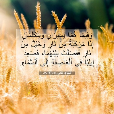 Picture 07 - اَلْمُلُوكِ ٱلثَّانِي 2:11 AVD - وَفِيمَا هُمَا يَسِيرَانِ - Bible Verse Picture