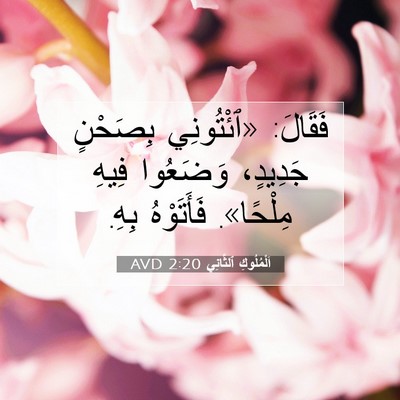 Picture 07 - اَلْمُلُوكِ ٱلثَّانِي 2:20 AVD - فَقَالَ: «ٱئْتُونِي - Bible Verse Picture