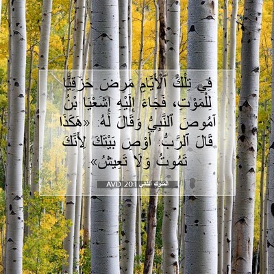 Picture 07 - اَلْمُلُوكِ ٱلثَّانِي 20:1 AVD - فِي تِلْكَ ٱلْأَيَّامِ - Bible Verse Picture