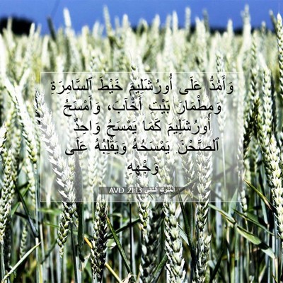 Picture 07 - اَلْمُلُوكِ ٱلثَّانِي 21:13 AVD - وَأَمُدُّ عَلَى - Bible Verse Picture