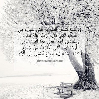 Picture 07 - اَلْمُلُوكِ ٱلثَّانِي 21:7 AVD - وَوَضَعَ تِمْثَالَ - Bible Verse Picture