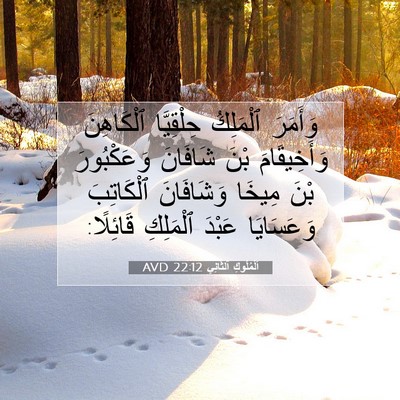 Picture 07 - اَلْمُلُوكِ ٱلثَّانِي 22:12 AVD - وَأَمَرَ ٱلْمَلِكُ - Bible Verse Picture