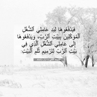 Picture 07 - اَلْمُلُوكِ ٱلثَّانِي 22:5 AVD - فَيَدْفَعُوهَا لِيَدِ - Bible Verse Picture