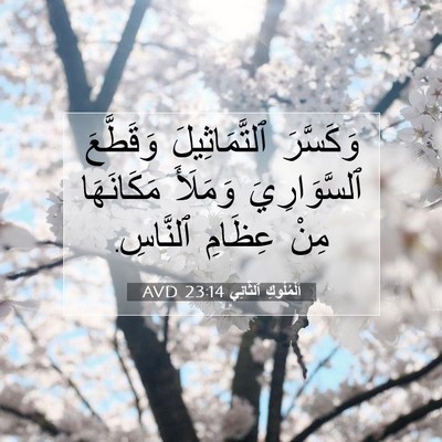 Picture 07 - اَلْمُلُوكِ ٱلثَّانِي 23:14 AVD - وَكَسَّرَ ٱلتَّمَاثِيلَ - Bible Verse Picture