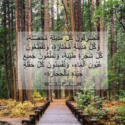 Picture 07 - اَلْمُلُوكِ ٱلثَّانِي 3:19 AVD - فَتَضْرِبُونَ كُلَّ - Bible Verse Picture