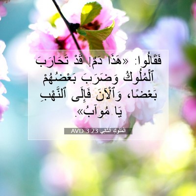 Picture 07 - اَلْمُلُوكِ ٱلثَّانِي 3:23 AVD - فَقَالُوا: «هَذَا دَمٌ! - Bible Verse Picture
