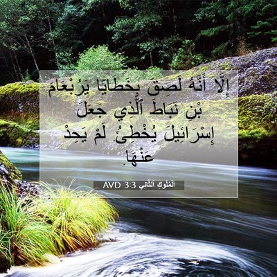 Picture 07 - اَلْمُلُوكِ ٱلثَّانِي 3:3 AVD - إِلَّا أَنَّهُ لَصِقَ - Bible Verse Picture