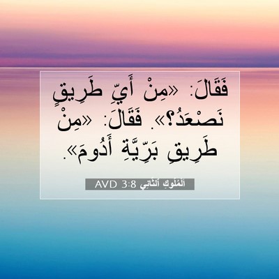 Picture 07 - اَلْمُلُوكِ ٱلثَّانِي 3:8 AVD - فَقَالَ: «مِنْ أَيِّ - Bible Verse Picture